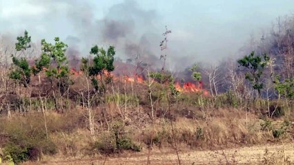 बांसवाड़ा : वन क्षेत्र धधके,मची अफरा तफरी