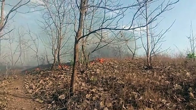 बांसवाड़ा : वन क्षेत्र धधके,मची अफरा तफरी