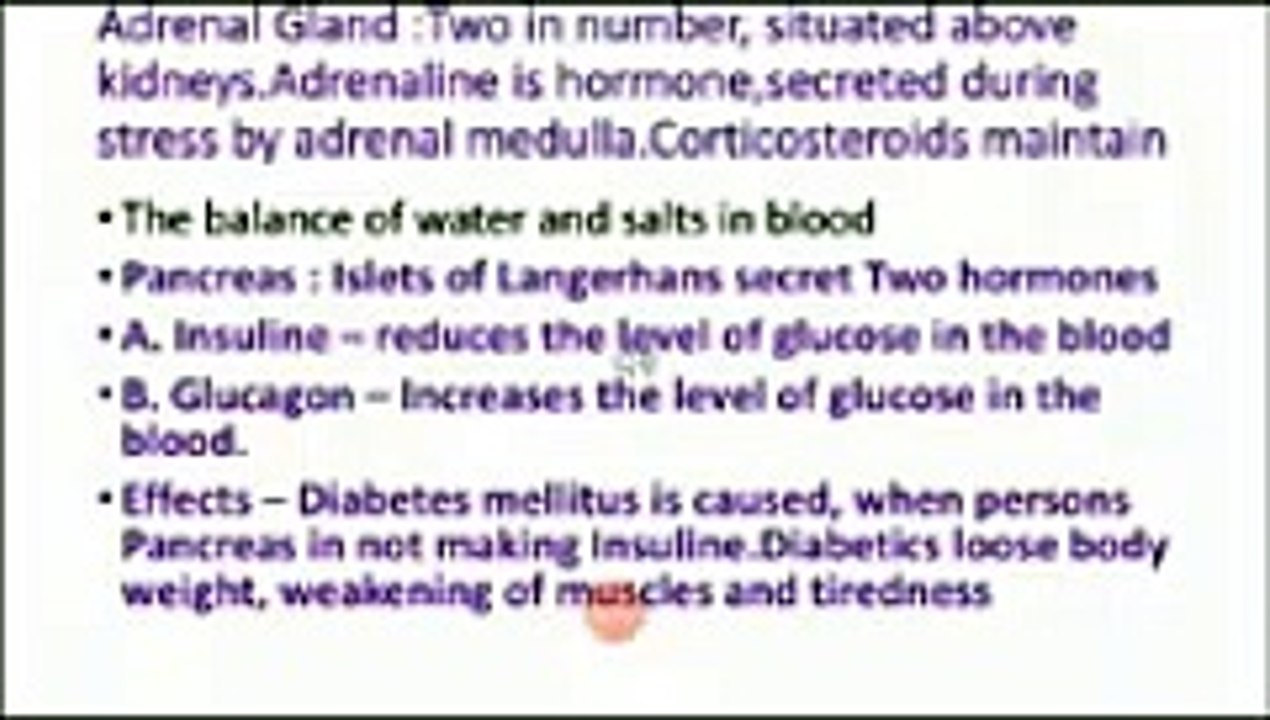 10th PTB Biology Endocrine Glands