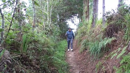 Catarata N° 02 - Circuito Turístico _El Pilco_ - Sócota, Cutervo, Cajamarca