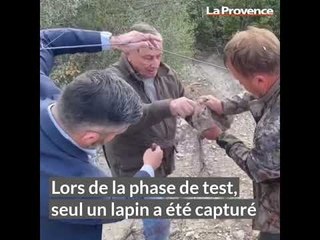 La Ciotat : les lapins du Domaine de la Tour extraits du parc pour protéger la végétation