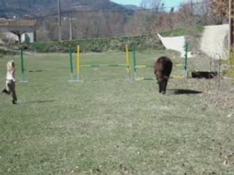 POPEY un ane de concours!