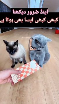 کبھی کبھی ایسا بھی ہوتا ہے