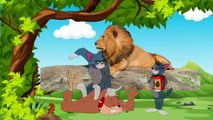 Cartoon Funny Video _ Cartoon Comedy Video _ Tom And Jerry Cartoon _ For Kids --(360P)