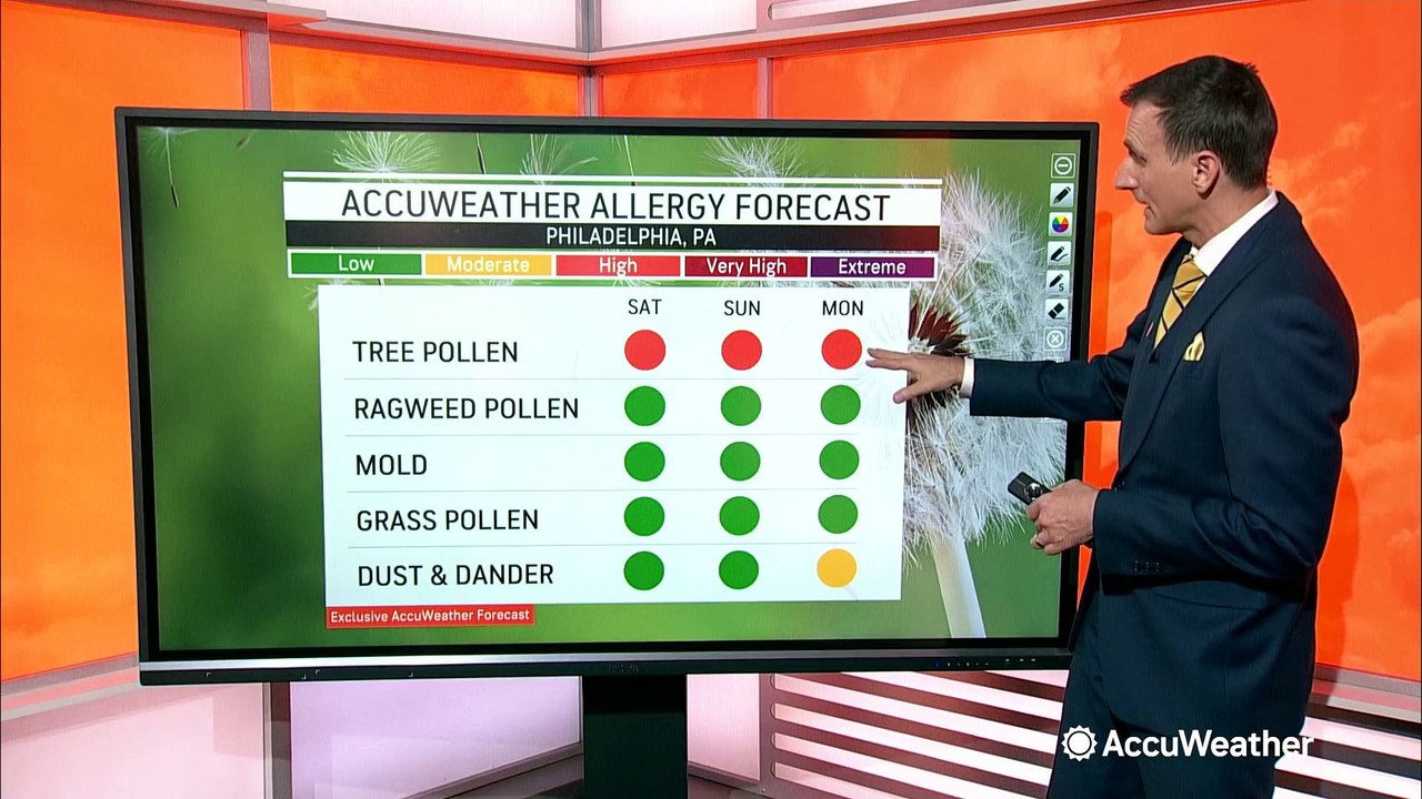 Your Earth Day weekend allergy forecast video Dailymotion