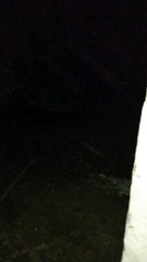 Barish or zala Bari Allah maaf kry