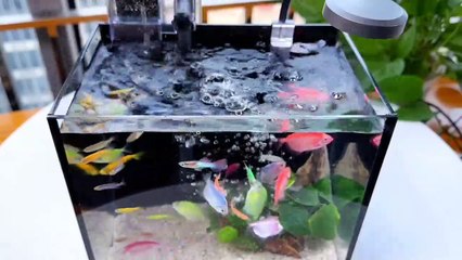 BEST Aquarium handmade skill