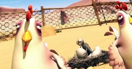 Oscar's Oasis Oscar’s Oasis E072 Roco’s Treasure