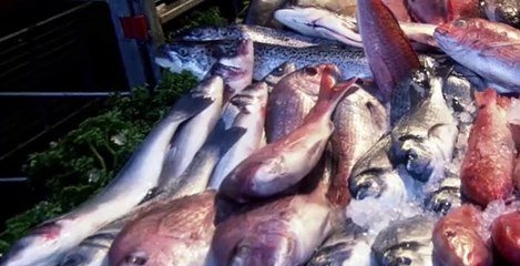 That Mitchell and Webb Look S04 E05