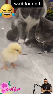 Tranding shorts on youtube-Tranding shorts video- tranding shorts channel#tranding #viral #shorts 22 (1)