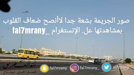 313 - عندما يبكي الحجر !! سوالف طريق