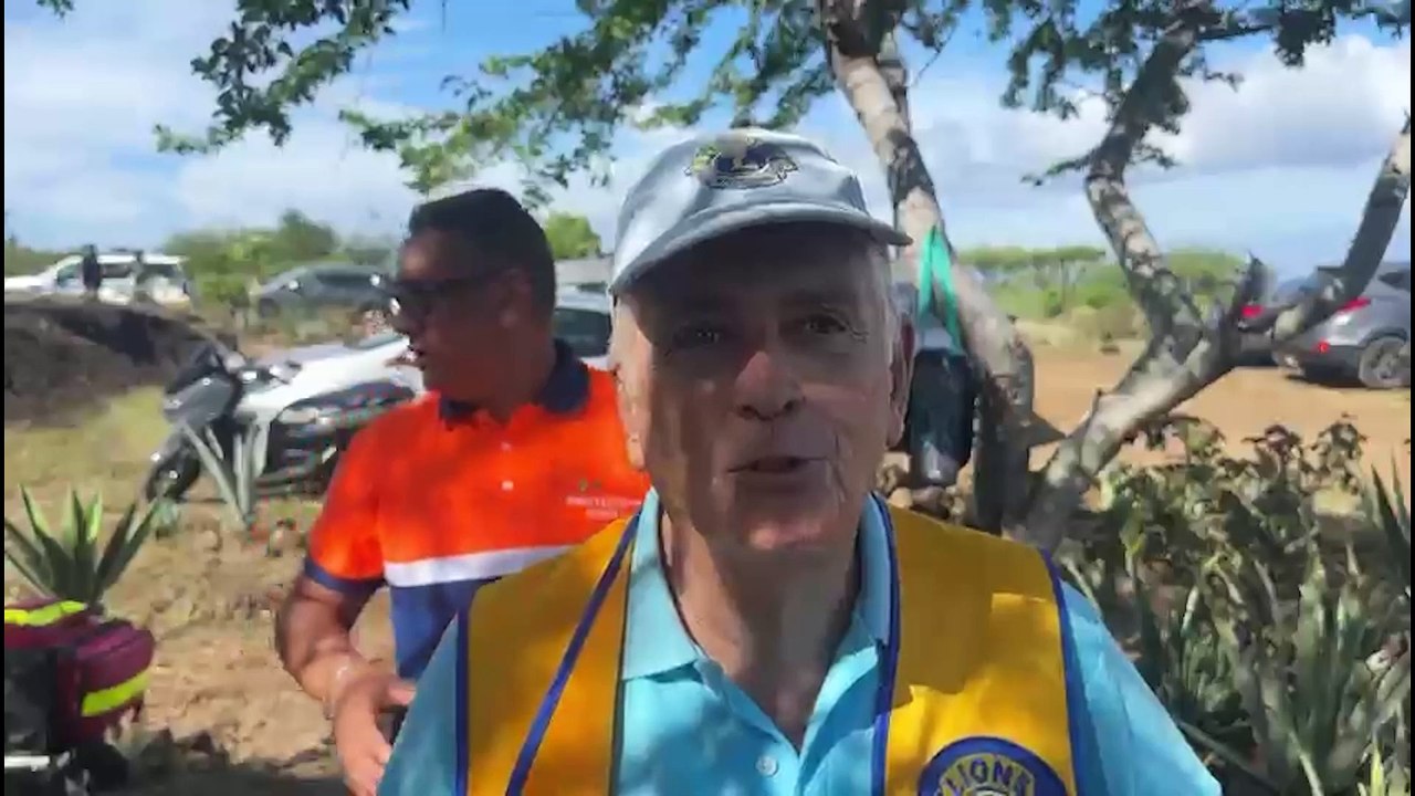 Plantation d'arbres au Grand Stella