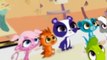 Littlest Pet Shop 2012 Littlest Pet Shop S02 E014 To Paris With Zoe