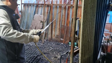 "전기 쇠꼬챙이로 개 도살"...파주 육견농장 현장 적발 / YTN