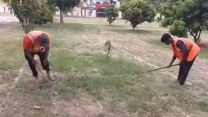 रामपुर:ईद के अवसर पर भी नगर पालिका के सफाई कर्मचारियों को नही मिला वेतन