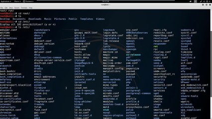 Security Academy Practical Ethical Hacking - Navigating the File System