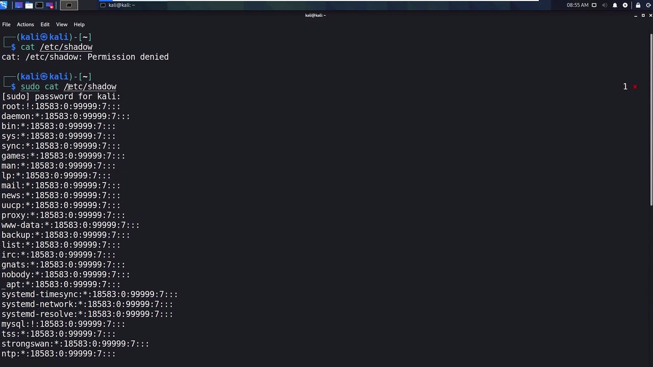 Security Academy Practical Ethical Hacking - Sudo Overview