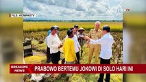Setelah Salat Id di Jakarta, Prabowo Subianto Temui Presiden Jokowi di Solo Hari Ini!