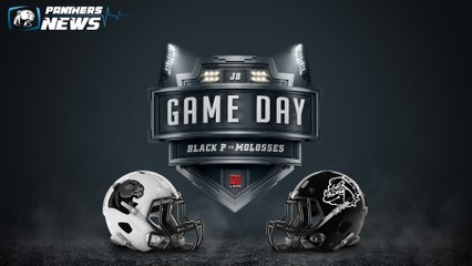 Championnat de France Élite - Jour 8 - BLACK PANTHERS VS MOLOSSES