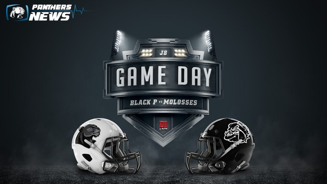 Championnat de France Élite - Jour 8 - BLACK PANTHERS VS MOLOSSES