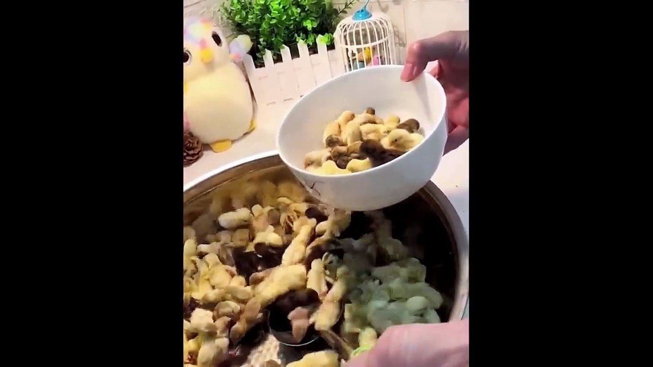 Cute baby animals Videos Compilation cute moment of the animals - Funniest Animals #5