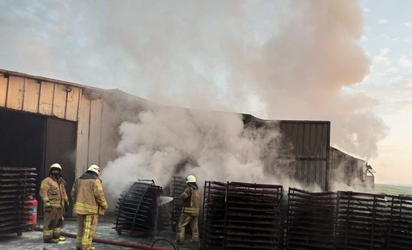 İstanbul'da mangal kömürü üretim tesisinde yangın