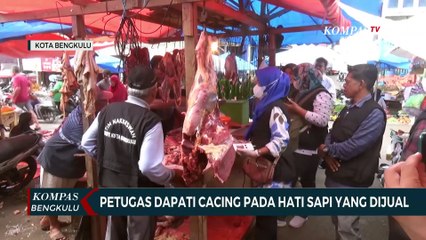 Petugas Dapati Cacing Pada Hati Sapi yang Dijual