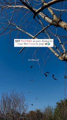 मुझसे TAJURBA mt puch Zindagi ke Umar Meri شرمندا ho jyegi