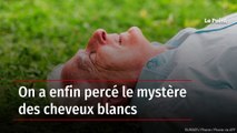 On a enfin percé le mystère des cheveux blancs