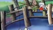 The Adventures of Blinky Bill The Adventures of Blinky Bill E010 – Blinky Bill’s Zoo