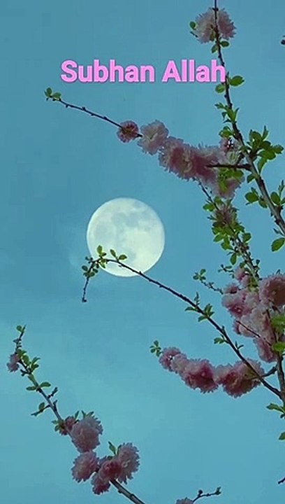 Subhan Allah