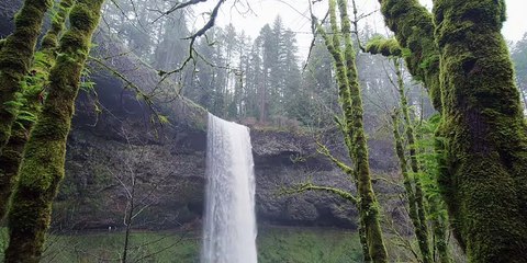 pexels-peter-fowler-6394054-2048x1024-24fps