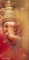 Om Gan Ganpataye Namo Namaha