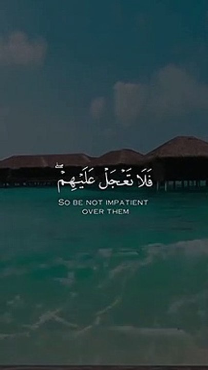 -القارئ _ عبد الرحمن مسعد