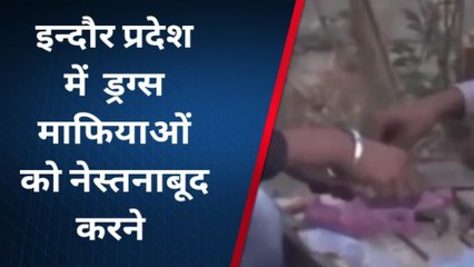 इंदौर: युवाओ में बढ़ती ड्रग्स की लत,पूरे मामले में क्या बोले कलेक्टर,देखें रिपोर्ट