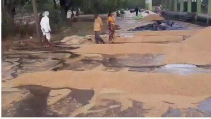 రామాయంపేట: భారీగా కురిసిన వర్షం.. నిండా మునిగిన రైతులు