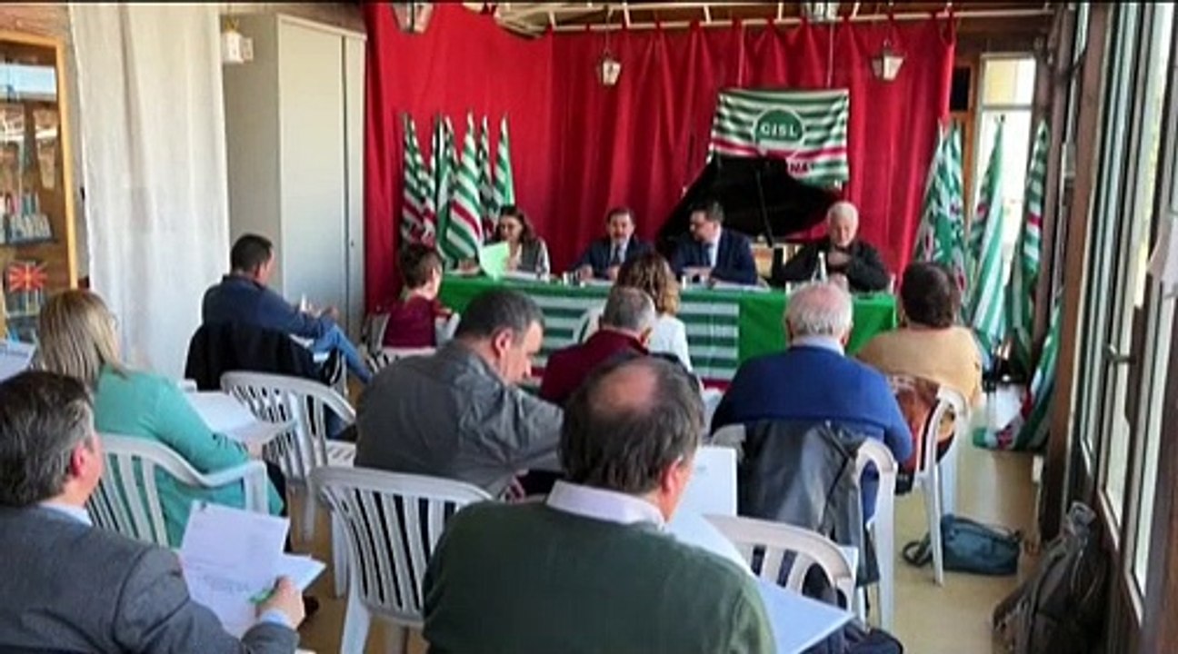Rtp telegiornale