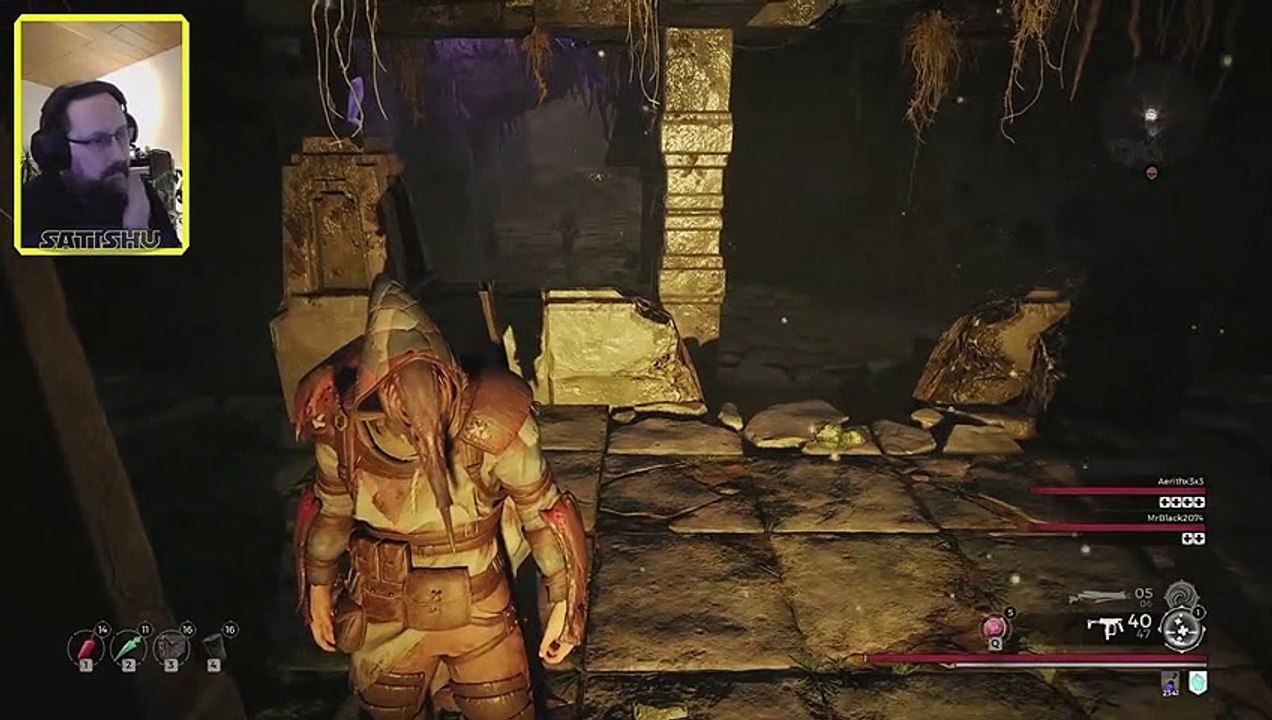 Fertig ist die Palisade Nr. 2. Valheim #55