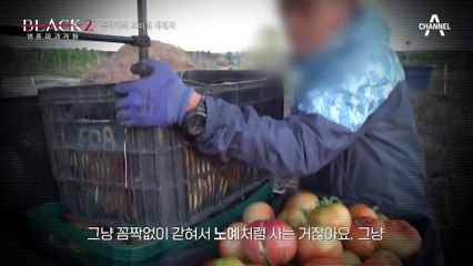 유일한 희망이 되어버린 종말! 먼 타지에서 노예 생활을 한 신도들