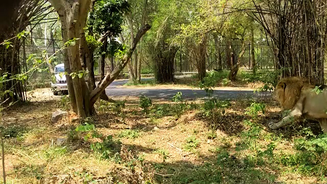 வெள்ளை புலியை கொடுத்துவிட்டு சிங்கத்தை பெற்றுக் கொண்ட தமிழ் நாடு