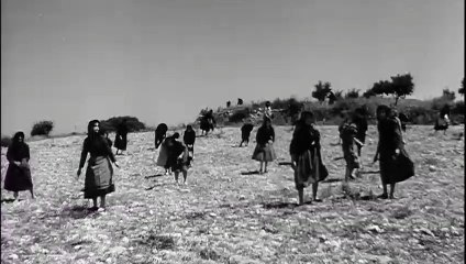 Zorba the Greek - Trailer