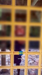 Perito do caso PC Farias ameaça de morte ex-mulher e urina em Bíblia