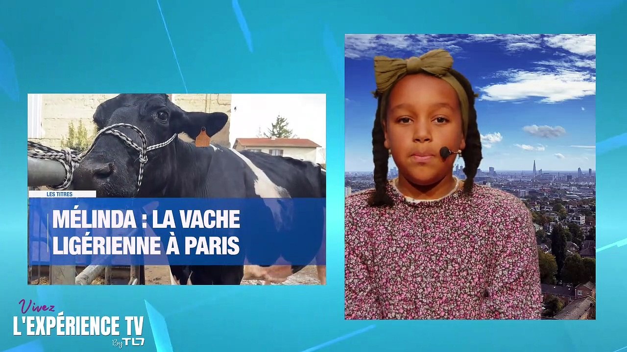Ambre 18h03 - 22 avril 2023 - 06-04-49