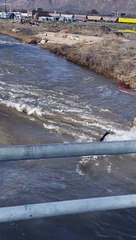 Surfing the Weber River