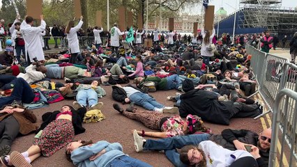 Extinction Rebellion Holds Powerful Die-In Protest Outside Westminster 🕊️