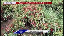 Huge Crop Damage All Over Telangana Due To Strong Winds, Hailstorm _ V6 News