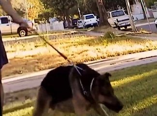 Dog Whisperer S01 E20