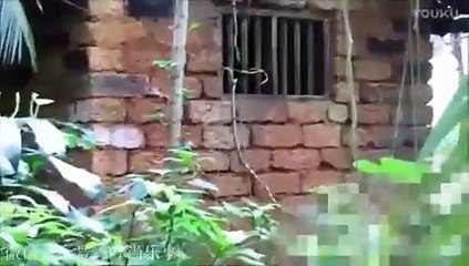 Penampakan Hantu Menyeramkan