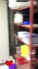 How To Building a Bailey's House Homestead, FL in a After 2022