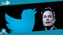 M Pokora, Christophe Beaugrand… Elon Musk supprime les certifications sur Twitter, les stars réagiss